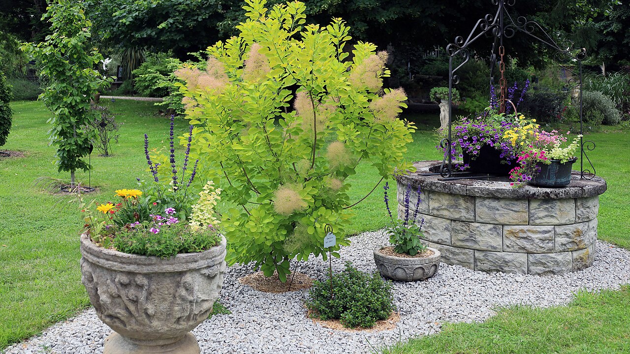 Jardins de l’Ange à Verdalle, avec végétation et puits en pierre